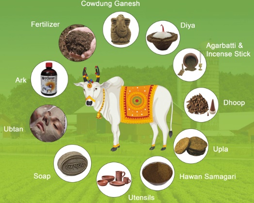 How is Cow Dung Powder used