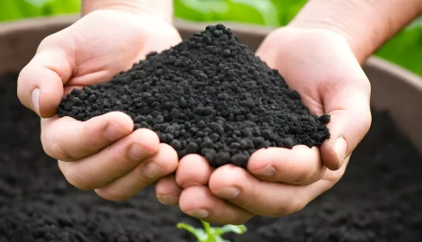 Organic Fertilizer